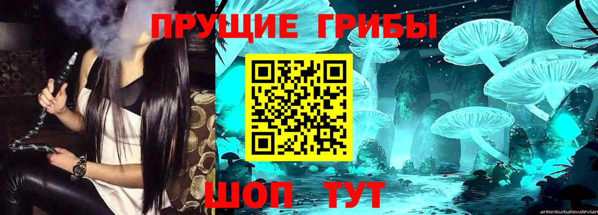 Псилоцибиновые грибы GOLDEN TEACHER Великий Устюг
