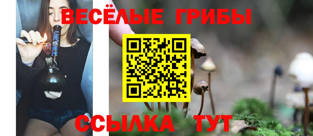 Псилоцибиновые грибы MAGIC MUSHROOMS  Вход с VPN  Великий Устюг 